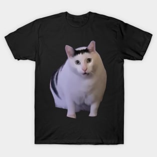 Huh Cat Meme T-Shirt